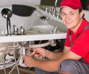 About Professional Plumbers